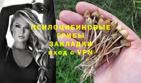 бошки Беломорск