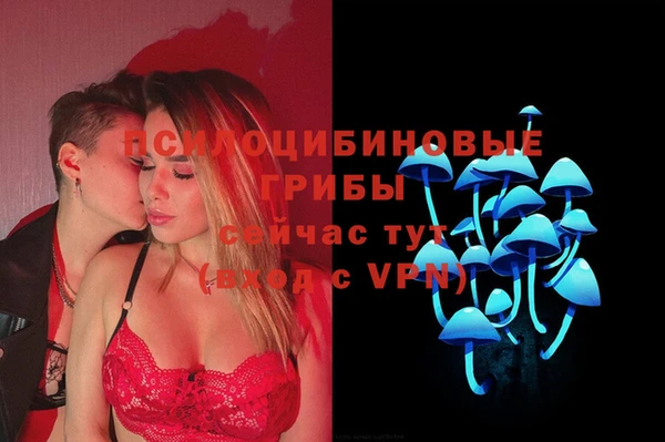 бошки Беломорск