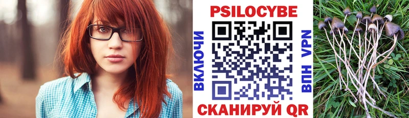 Псилоцибиновые грибы прущие грибы  Салаир 